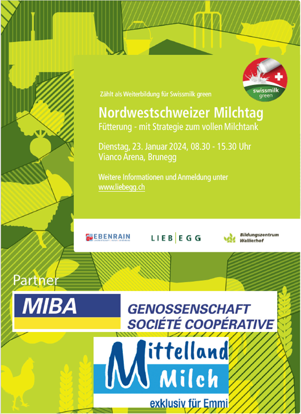 Bild Flyer